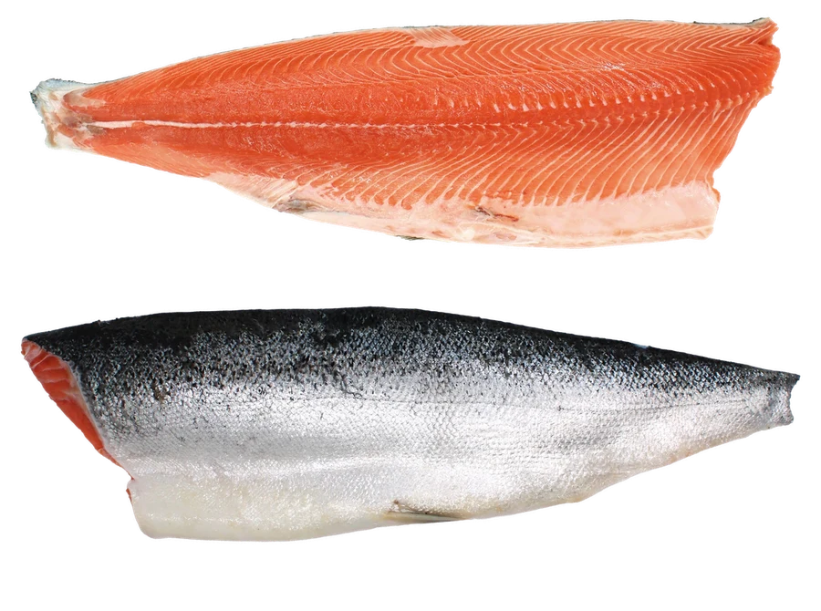 A-Trim — fillet seen from the flesh side and the skin side
