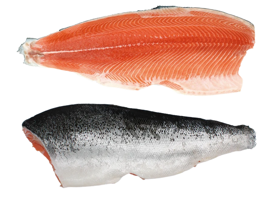 B-Trim — fillet seen from the flesh side and the skin side