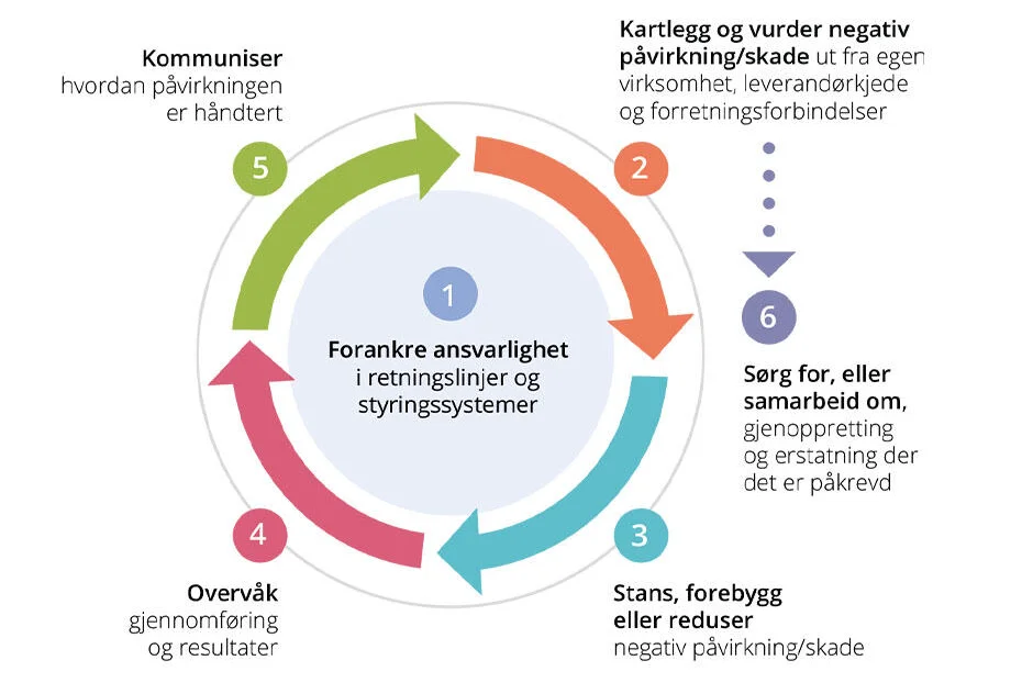 OECDs modell for aktsomhetsvurdering i seks trinn: 1 Forankre ansvarlighet i retningslinjer og styringssystemer. 2 Kartlegg og vurder negativ påvirkning/skade ut fra egen virksomhet, leverandørkjede og forretningsforbindelser. 3 Stans, forebygg eller reduser negativ påvirkning/skade. 4 Overvåk gjennomføring og resultater. 5 Kommuniser hvordan påvirkningen er håndtert. 6 Sørg for, eller samarbeid om, gjenoppretting og erstatning der det er påkrevd.