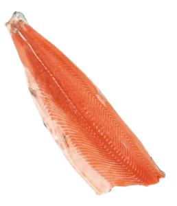 A-trim salmon fillet seen from the flesh side, second view