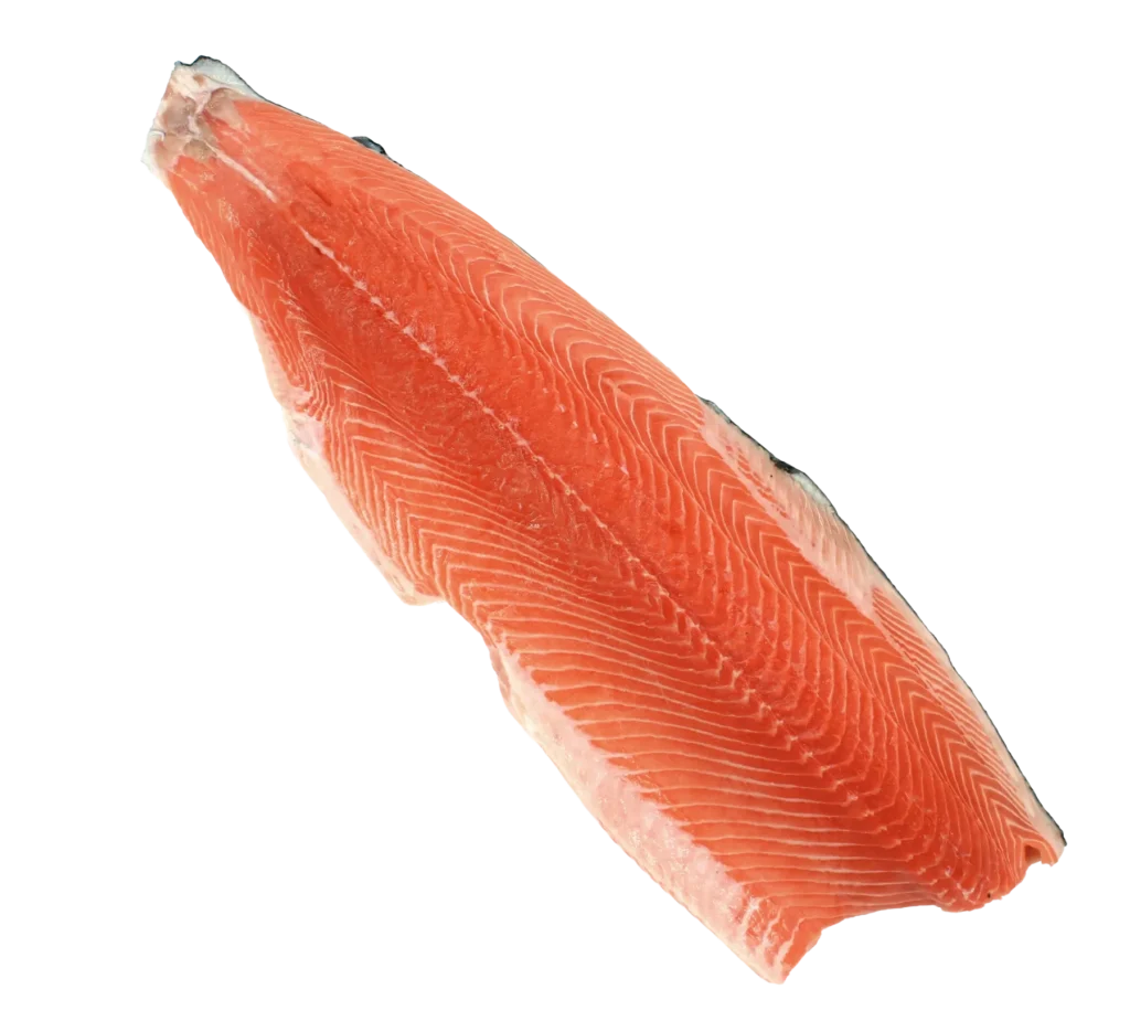 C-trim salmon fillet seen from the flesh side