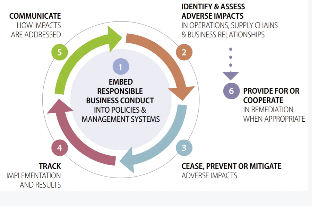 The OECD due diligence model in six steps: 1 Embed responsible business conduct into policies and management systems. 2 Identify and assess adverse impacts in operations, supply chains and business relationships. 3 Cease, prevent or mitigate adverse impacts. 4 Track implementation and results. 5 Communicate how impacts are addressed. 6 Provide for or cooperate in remediation when appropriate.